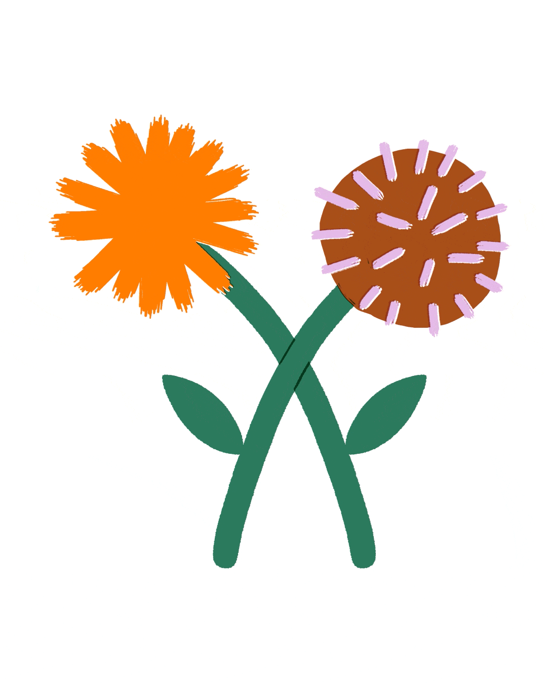 Two flowers